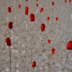 installation - "Imagine un champs de coton dans un océan de sable bleu à Chicago"